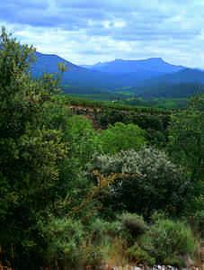 Valle de Caderechas